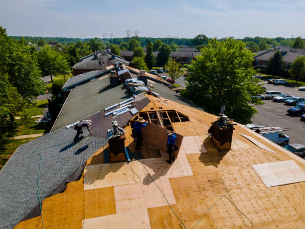 Quick and Trustworthy Emergency Roof Repair Services in Garden View, PA